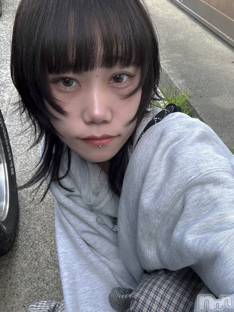 ����������ʥå��������륺�С����ʥå�����ܤ��(���ʥå�����ܥ����) �餤��6��8���̥�֥����ֿ��٤�ι�����