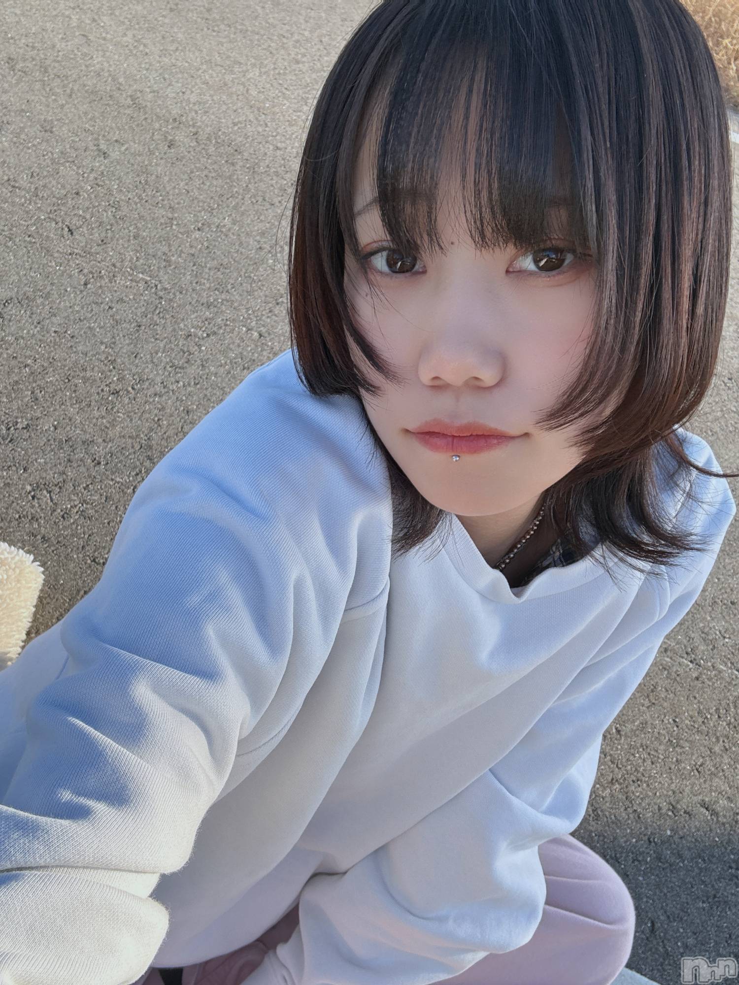 ʥå륺Сʥåܤ(ʥåܥ) 2025ǯ126̥֥֤֤Ϥġ