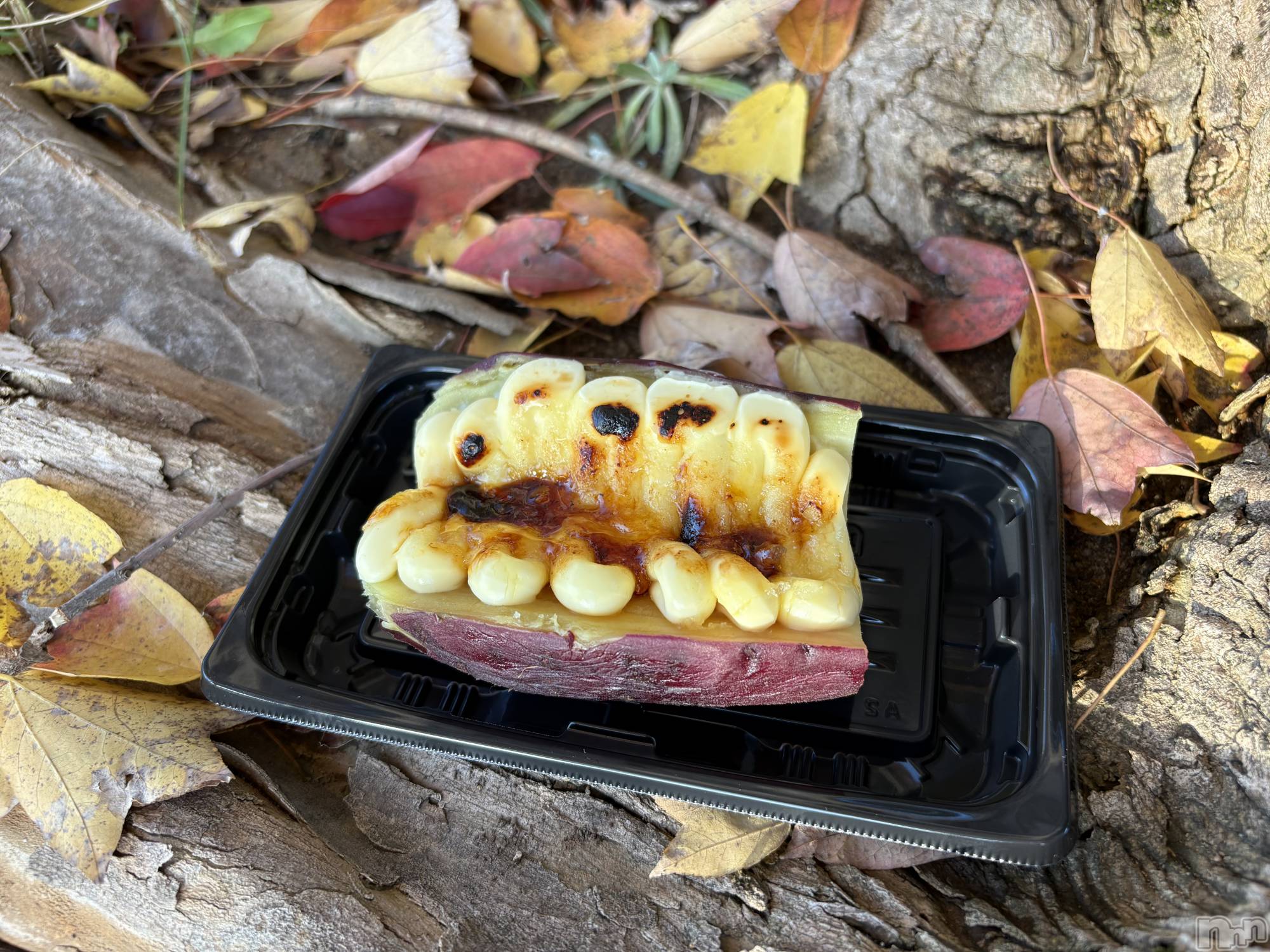 ����������ʥå��������륺�С����ʥå�����ܤ��(���ʥå�����ܥ����) ��2025ǯ12��25���̥�֥����֤��򤵤��