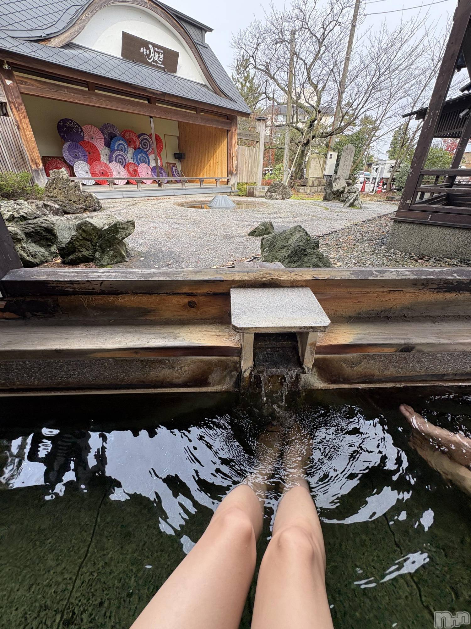 ����������ʥå��������륺�С����ʥå�����ܤ��(���ʥå�����ܥ����) ��2026ǯ1��22���̥�֥�����������☃️��