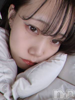 ����������ʥå��������륺�С����ʥå�����ܤ��(���ʥå�����ܥ����) �餤��12��30���̥�֥����ֺ�ǯ�Ǹ�������