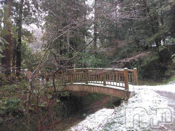 新潟デリヘル奥様特急 新潟店(オクサマトッキュウニイガタテン) まりか(40)の1月2日写メブログ「明けましておめでとう御座います(●´∀｀●)」