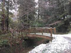 新潟デリヘル奥様特急 新潟店(オクサマトッキュウニイガタテン) まりか(40)の1月2日写メブログ「明けましておめでとう御座います(●´∀｀●)」