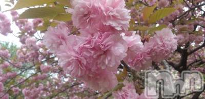 新潟デリヘル 奥様特急 新潟店(オクサマトッキュウニイガタテン) まりか(40)の2月2日写メブログ「マイガール登録をしてくださる皆々さま、」