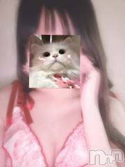 新潟デリヘルアンフィール-地元新潟の厳選された素人女性のみ-(アンフィール) なな☆透明度抜群の〇〇坂系(23)の12月4日写メブログ「出勤日のお知らせ𓂃🎀𓈒𓏸」