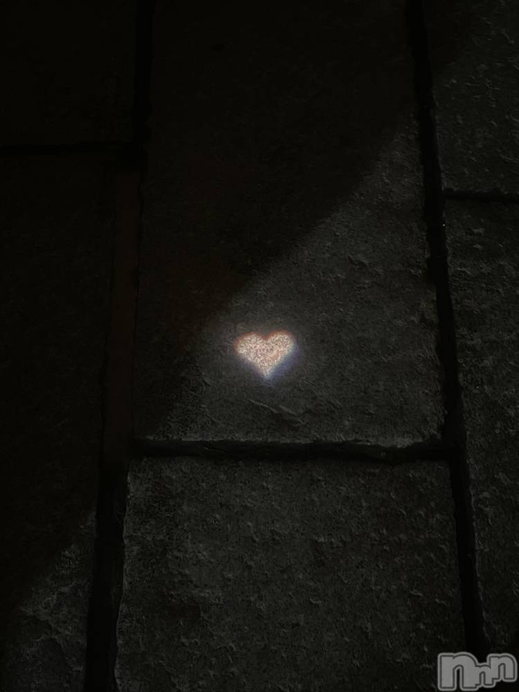 ����������ʥå��������륺�С������륺�С� �ӥ���٥˥塼(�����륺�С��ӥ���٥˥塼) �椤��1��8���̥�֥�����2026ǯ🤍��