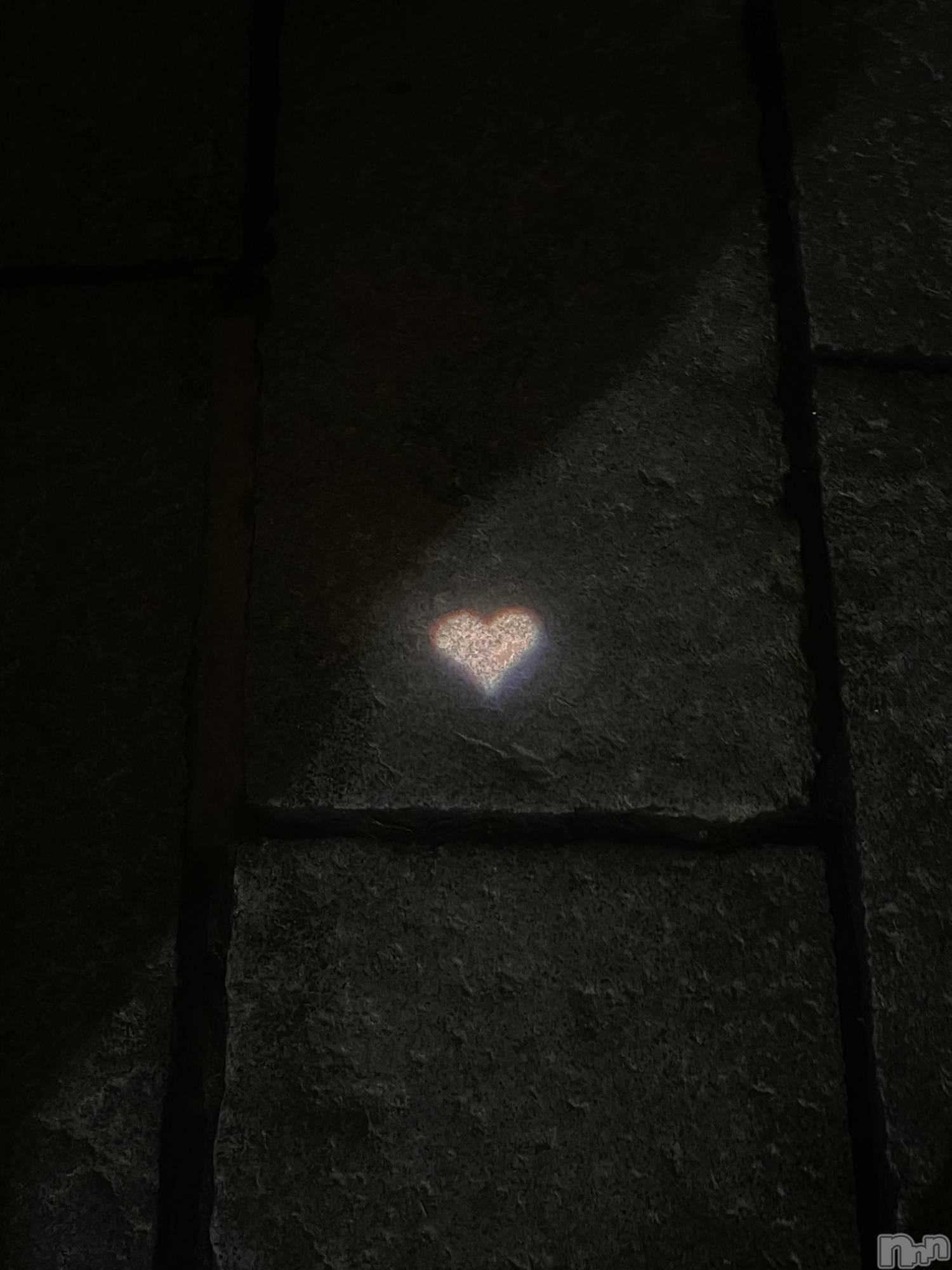 ����������ʥå��������륺�С������륺�С� �ӥ���٥˥塼(�����륺�С��ӥ���٥˥塼) ��2026ǯ1��8���̥�֥�����2026ǯ🤍��