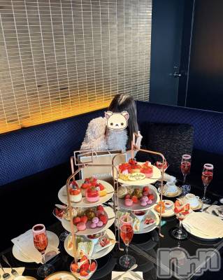 ˤ륹ʥå륺С֥륺С ӥ٥˥塼(륺Сӥ٥˥塼)פΥ㥹ȡ֤椤פξҲ