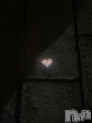 ����������ʥå��������륺�С������륺�С� �ӥ���٥˥塼(�����륺�С��ӥ���٥˥塼) �椤(20)��1��8���̥�֥�����2026ǯ🤍��