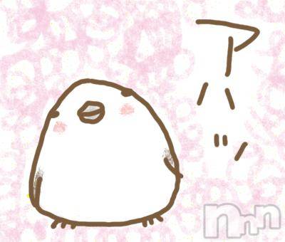 長岡デリヘルBIANCA～主人の知らない私～長岡店(ビアンカナガオカテン)内田　たまき(47)の2025年11月22日写メブログ「私と言う人」