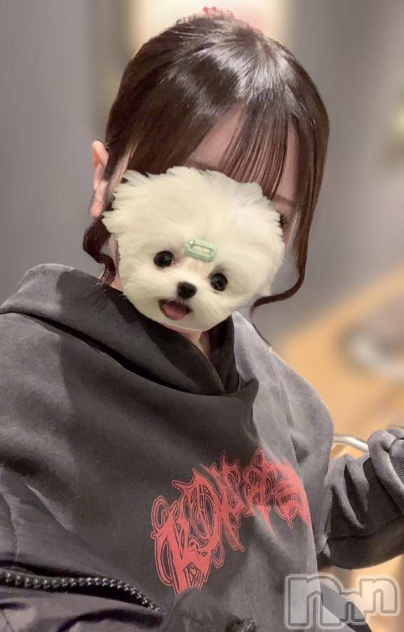 新潟デリヘル奥様特急 新潟店(オクサマトッキュウニイガタテン)えま(18)の2025年12月25日写メブログ「❤️性の6時間❤️」