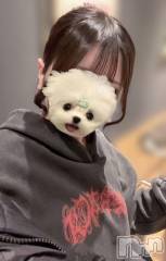 新潟デリヘル奥様特急 新潟店(オクサマトッキュウニイガタテン) えま(18)の12月25日写メブログ「❤️性の6時間❤️」