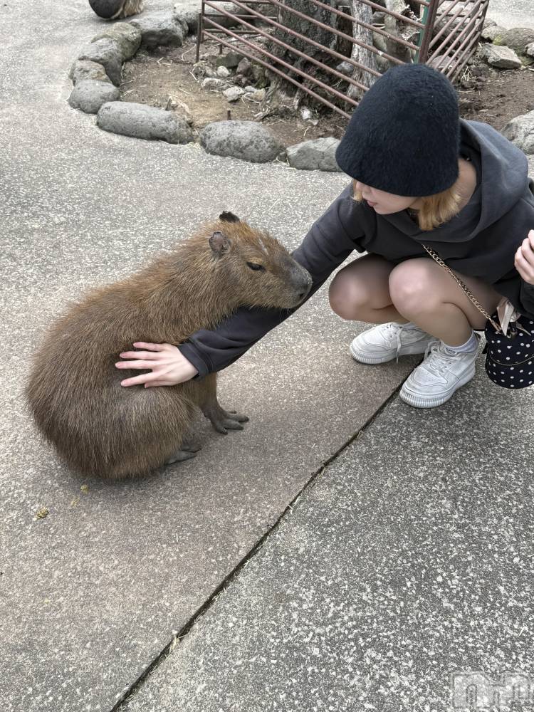 ��Ʋ����Х��顦�����Lounge en&.(�饦�󥸥���) ̴�顡�⤨�ڥޥޡۤ�3��9���̥�֥����֤��㡼������������