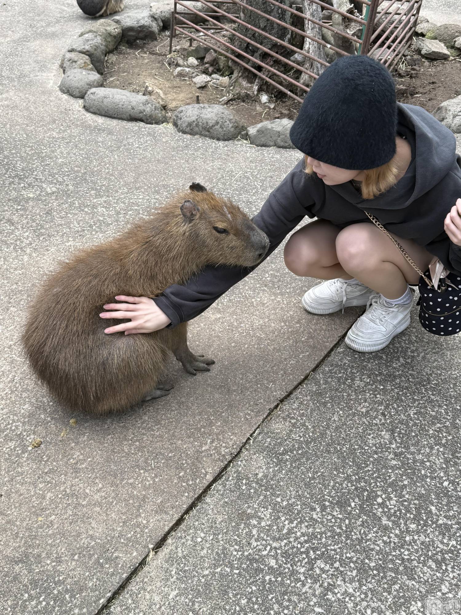 ��Ʋ����Х��顦�����Lounge en&.(�饦�󥸥���) ��2026ǯ3��9���̥�֥����֤��㡼������������