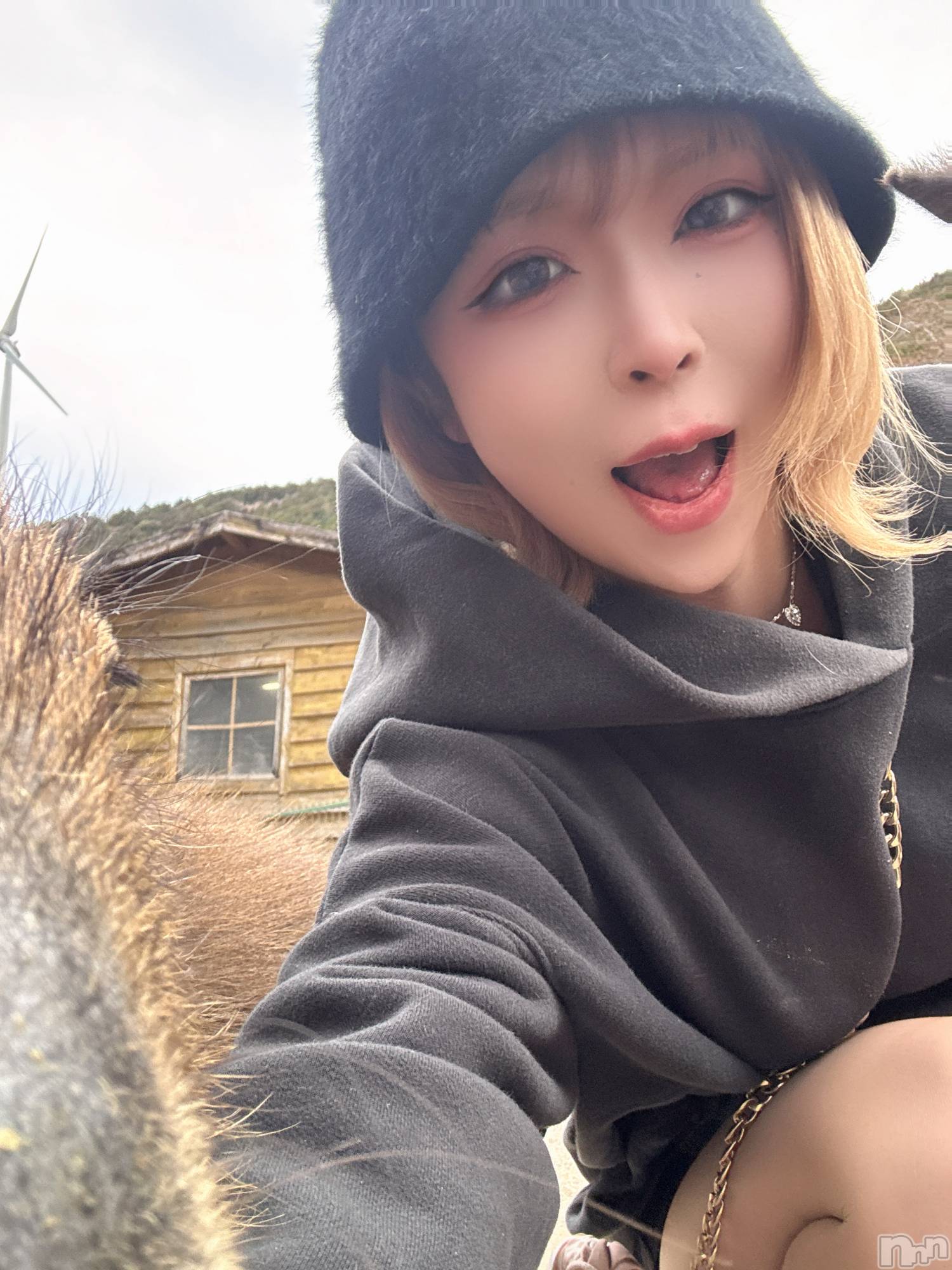 ��Ʋ����Х��顦�����Lounge en&.(�饦�󥸥���) ��2026ǯ3��18���̥�֥����֥ӡ�����ޤʤ���Ϥޤ�ʤ�😰��