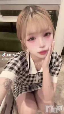 3��12�� 08��47ʬ��ư��