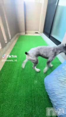 7��26�� 20��33ʬ��ư��
