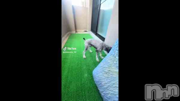 ��7��26�� 20��33ʬ��ư���