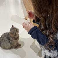 ƲХ顦 Lounge en&.(饦󥸥) ̴顡⤨ڥޥޡۤβ(3)