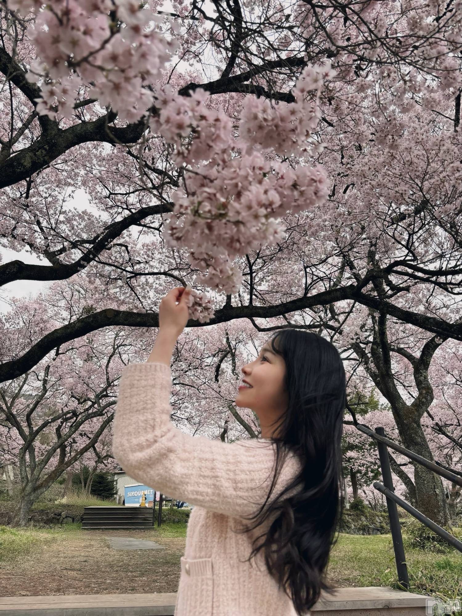 ��Ʋ����Х��顦�����Lounge en&.(�饦�󥸥���) ��2026ǯ4��14���̥�֥�����🌸��