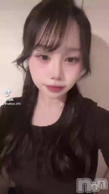 🐰🐰🐰