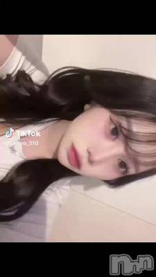 6��3�� 04��44ʬ��ư��