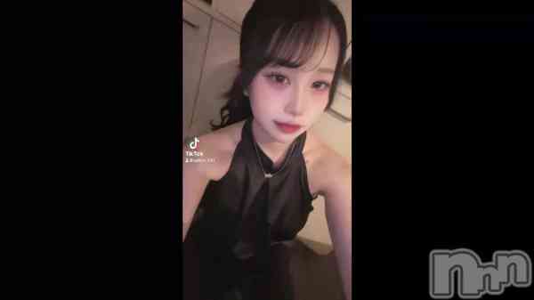 ��😸⭐️😸⭐️😸⭐️��