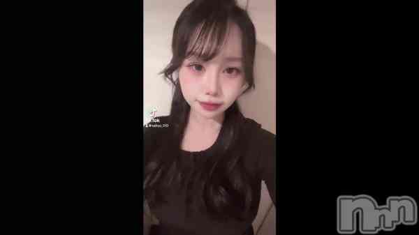 ��🐰🐰🐰��