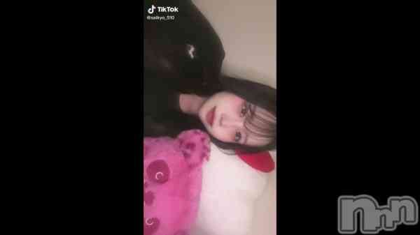 ��2��8�� 08��41ʬ��ư���