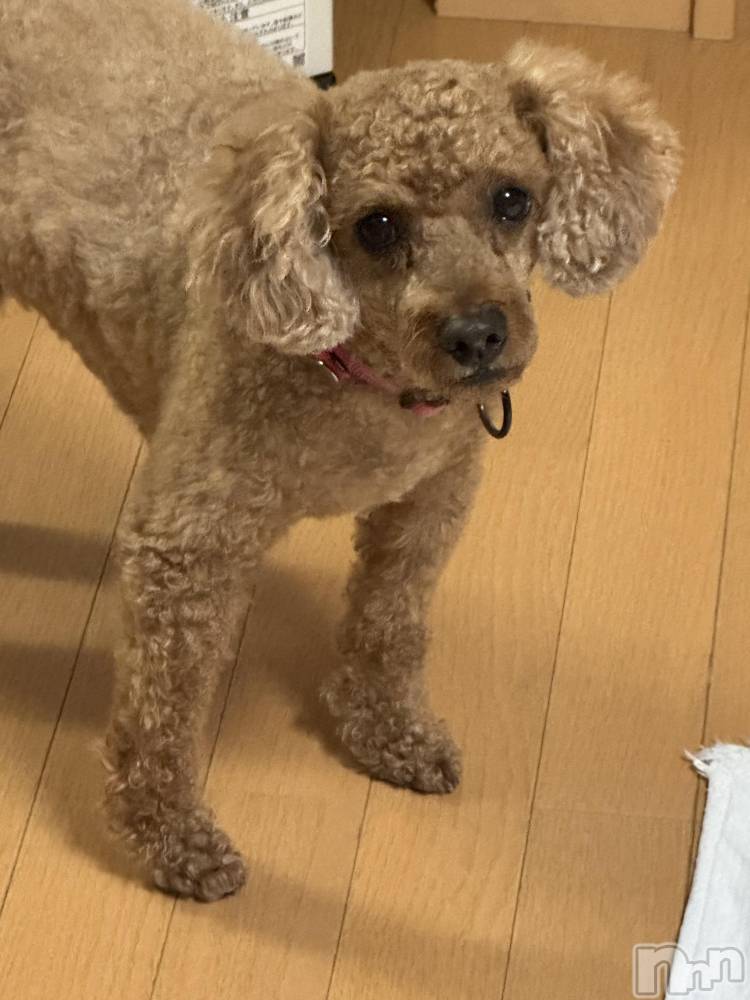 ��Ʋ����Х��顦�����Lounge en&.(�饦�󥸥���) �Υ���12��19���̥�֥����ִ���������