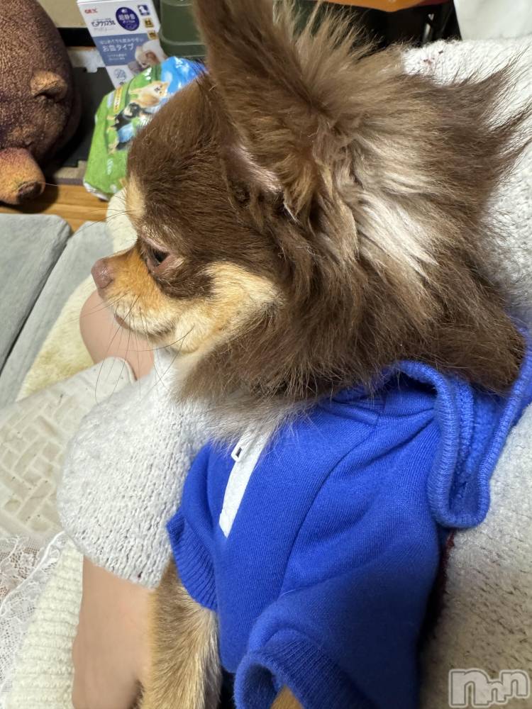 ��Ʋ����Х��顦�����Lounge en&.(�饦�󥸥���) �Υ���12��22���̥�֥����֤����㡼��