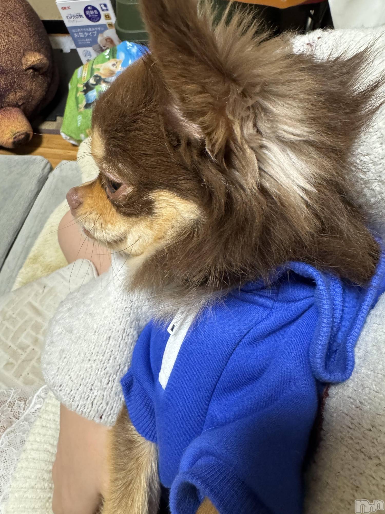 ��Ʋ����Х��顦�����Lounge en&.(�饦�󥸥���) ��2025ǯ12��22���̥�֥����֤����㡼��