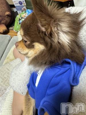 ��Ʋ����Х��顦�����Lounge en&.(�饦�󥸥���) �Υ�(20)��12��22���̥�֥����֤����㡼��