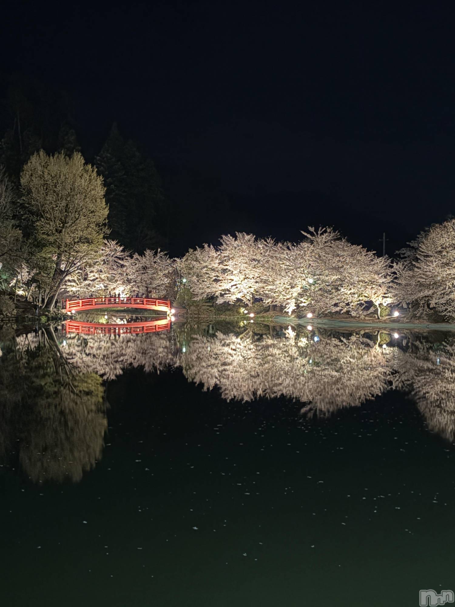 ��Ʋ����Х��顦�����Lounge en&.(�饦�󥸥���) ��2026ǯ4��17���̥�֥����ֲ����‼️��