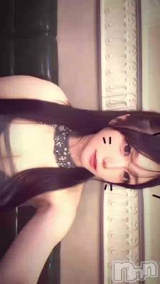 ����ǭ�Τ��🐱