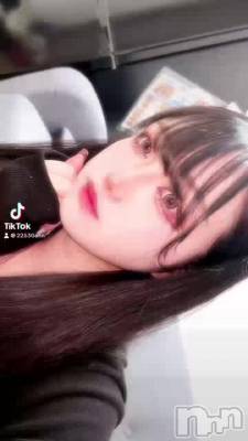 �ϡ��������������🩵