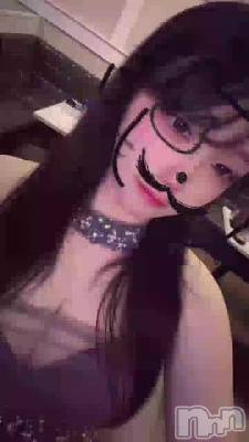 �������^._.^