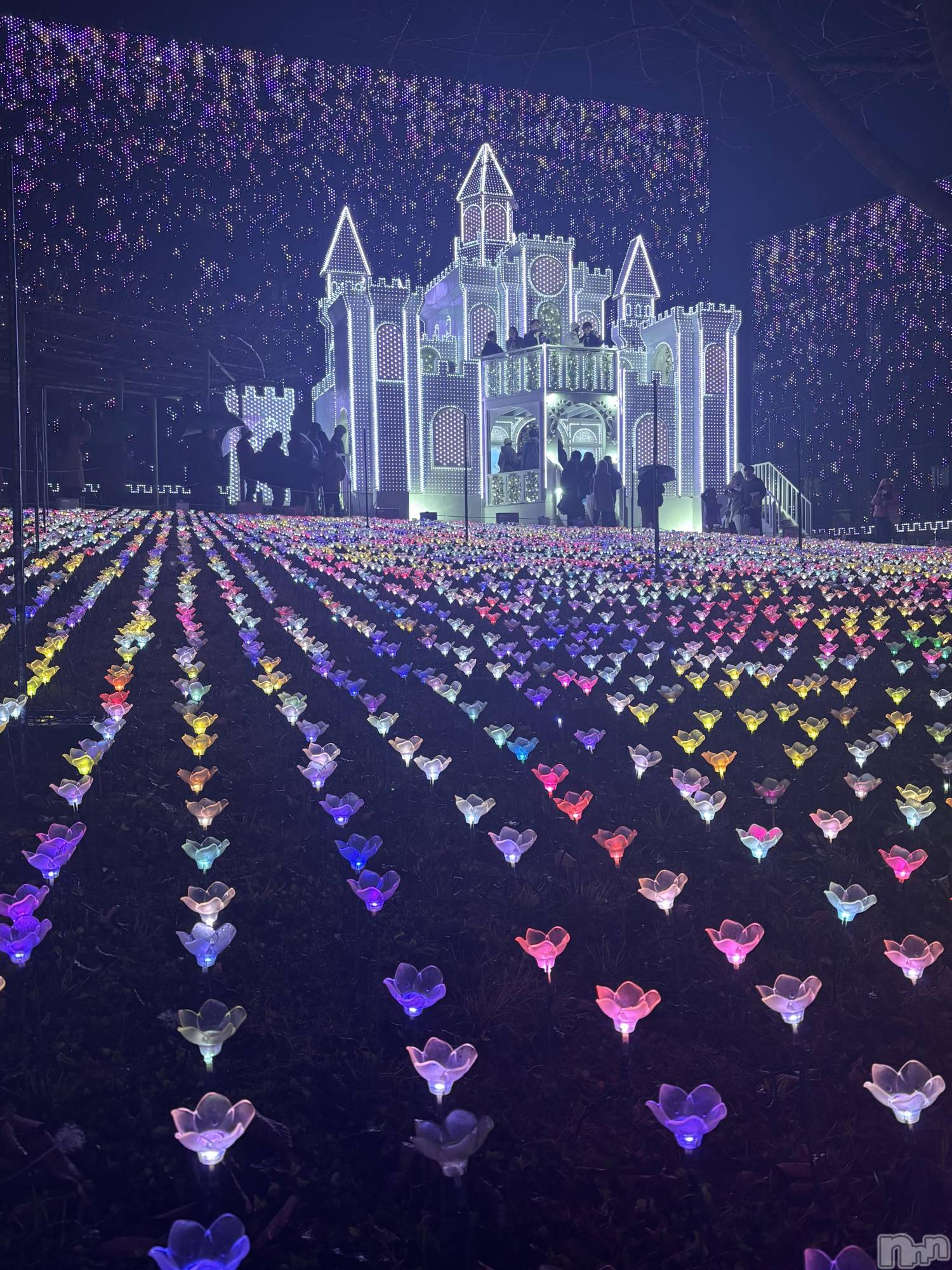 ��Ʋ����Х��顦�����Lounge en&.(�饦�󥸥���) ��2025ǯ12��21���̥�֥����֤��餭��✨��