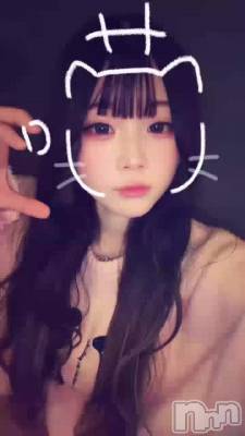 �����⡼������‼️