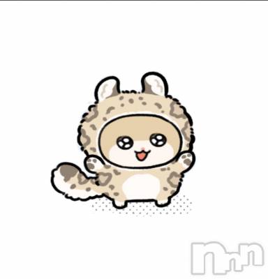 ���(21) ��Ĺ�ҥߥġ���Ʋ����Х��顦����� ����ֲڲСݣȣ��Σ��£ɡ�(����֥ϥʥ�)���ҡ�