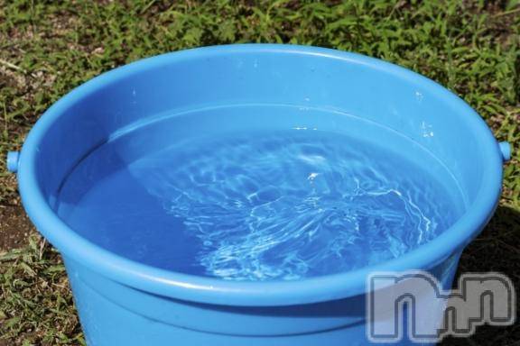 新潟デリヘル新潟人妻デリバリーヘルス 下心 ～したごころ～(シタゴコロ) ゆりな奥様(30)の12月24日写メブログ「動画の感想‪ part1🐹💬⭐️」