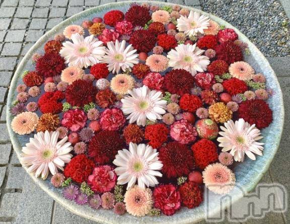 新潟デリヘル新潟人妻デリバリーヘルス 下心 ～したごころ～(シタゴコロ) ゆりな奥様(30)の2月11日写メブログ「動画の感想 part7🐹💬⭐️」