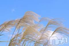 新潟デリヘル新潟人妻デリバリーヘルス 下心 ～したごころ～(シタゴコロ) ゆりな奥様(30)の2月12日写メブログ「漫画の感想Part7🐹💬⭐️」