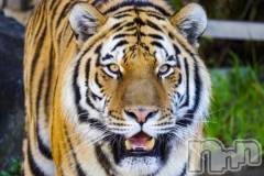 新潟デリヘル新潟人妻デリバリーヘルス 下心 ～したごころ～(シタゴコロ) ゆりな奥様(30)の2月15日写メブログ「漫画の感想Part8🐹💬⭐️」