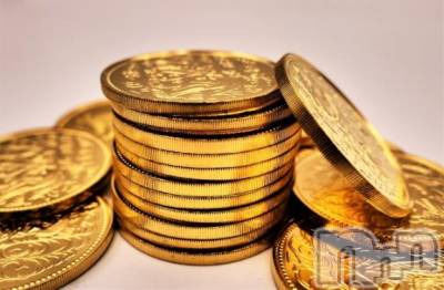 新潟デリヘル 新潟人妻デリバリーヘルス 下心 ～したごころ～(シタゴコロ) ゆりな奥様(30)の1月20日写メブログ「動画の感想 part4🐹💬⭐️」