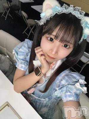 ��Į���ʥå��������륺�С�concept bar Citron(���󥻥ץȥС����ȥ���) �Τ�(26)��12��21���̥�֥������轵�ΤϤʤ���