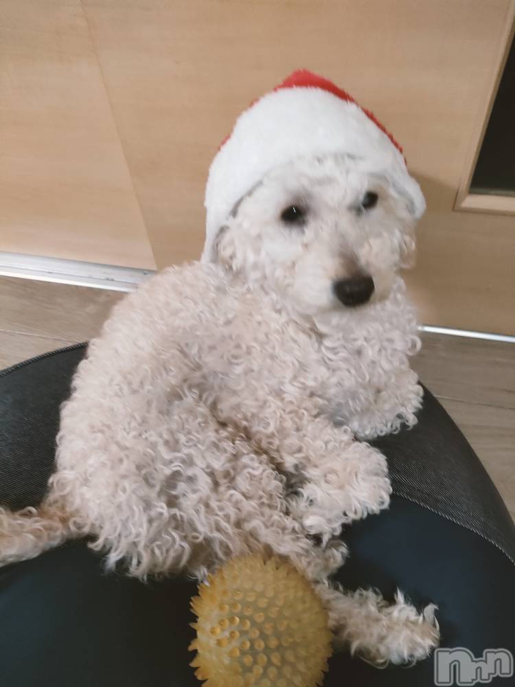 ��Į���ʥå��������륺�С�LUAR(�륢����) ������12��24���̥�֥�����🎄❤️��