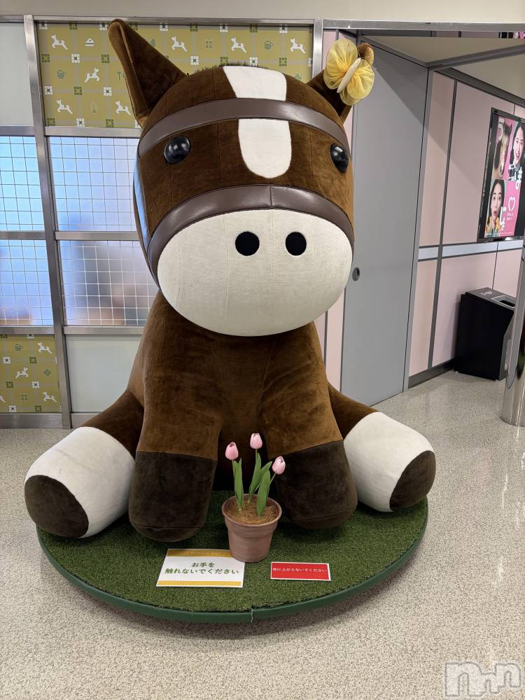��Į���ʥå��������륺�С�LUAR(�륢����) ������5��13���̥�֥����֤��ޤԤ礤��