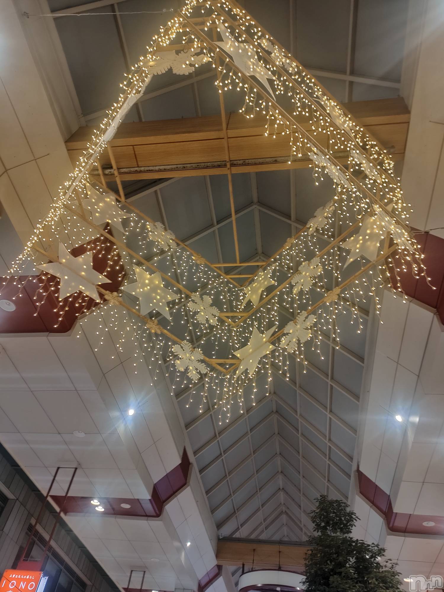 Įʥå륺СLUAR(륢) 2025ǯ124ֺ̥֥ϡ