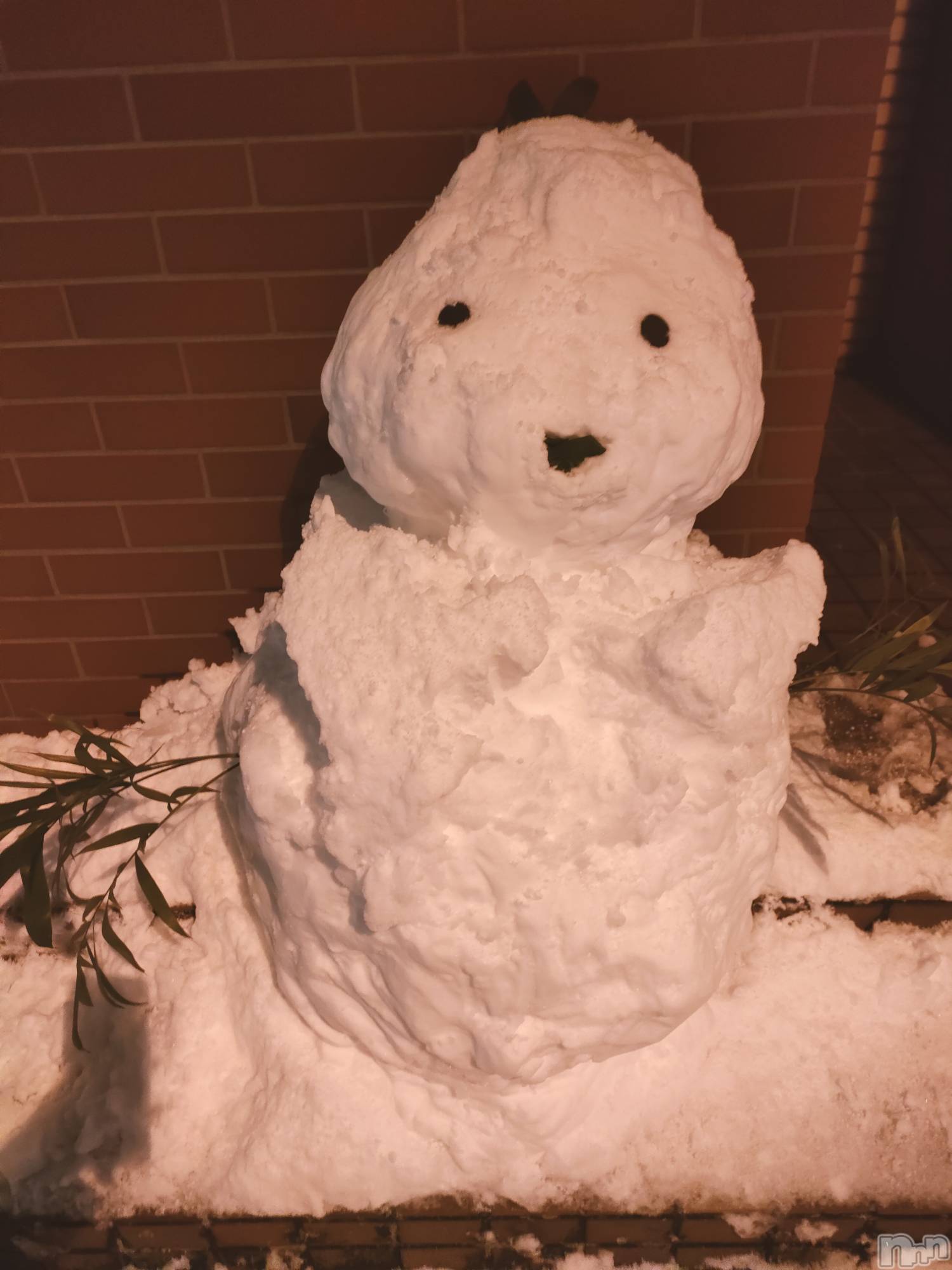 ��Į���ʥå��������륺�С�LUAR(�륢����) ��2026ǯ1��27���̥�֥������轵�Ρ�